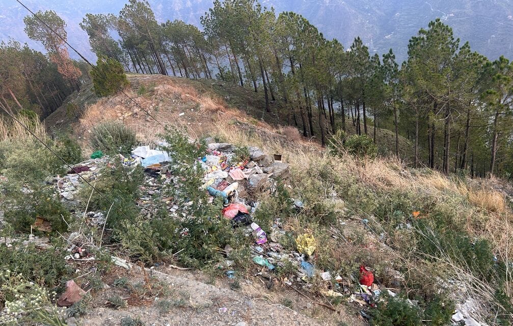 नित्थर के जंगल में ठिकाने लग रहा कचरा। संवाद नित्थर के जंगल में ठिकाने लग रहा कचरा। संवाद
