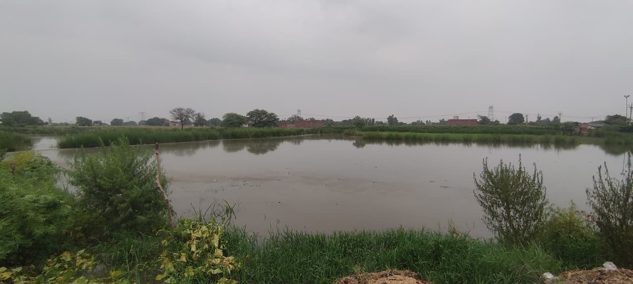 सलीम खां सलीम खां