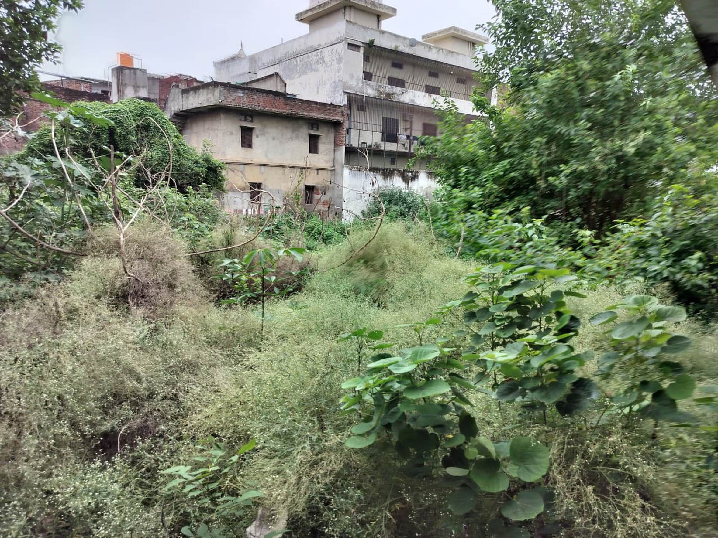 बदहाल खेल मैदान। बदहाल खेल मैदान।