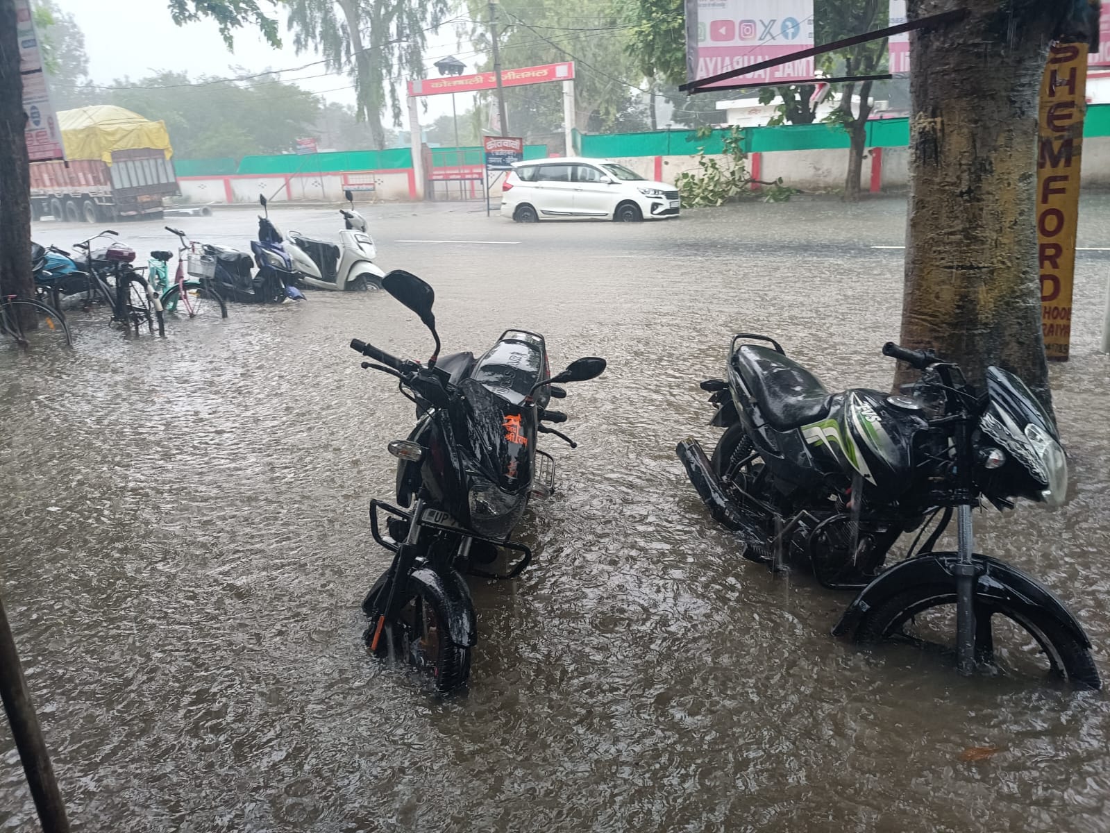 फोटो -20- बिधूना में बारिश से पानी से लबालब हुए खेत में धान रोपाई के लिए रखी पौध। संवाद