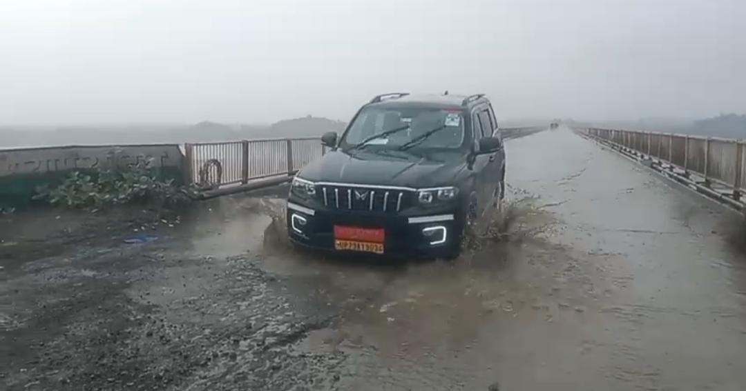 फोटो -20- बिधूना में बारिश से पानी से लबालब हुए खेत में धान रोपाई के लिए रखी पौध। संवाद