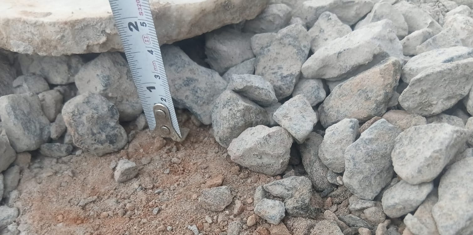 फोटो-60: बहादुरगढ़ के सेक्टर छह और पटेल नगर में बीच बन रही सड़क का निरीक्षण करते पार्षद सत्यप्रका