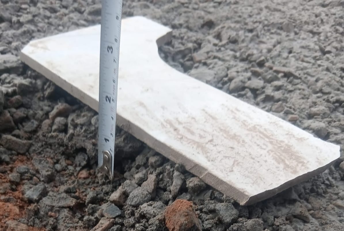 फोटो-60: बहादुरगढ़ के सेक्टर छह और पटेल नगर में बीच बन रही सड़क का निरीक्षण करते पार्षद सत्यप्रका