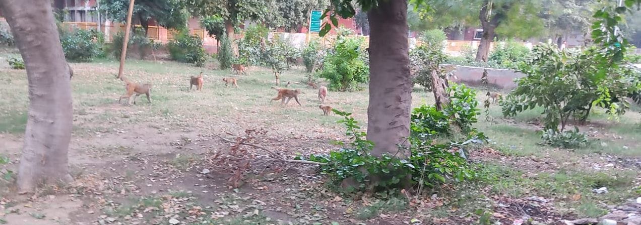 22जेएनडी17: राजकुमार गोयल। 22जेएनडी17: राजकुमार गोयल।