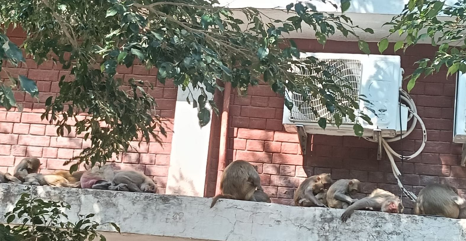 22जेएनडी17: राजकुमार गोयल। 22जेएनडी17: राजकुमार गोयल।