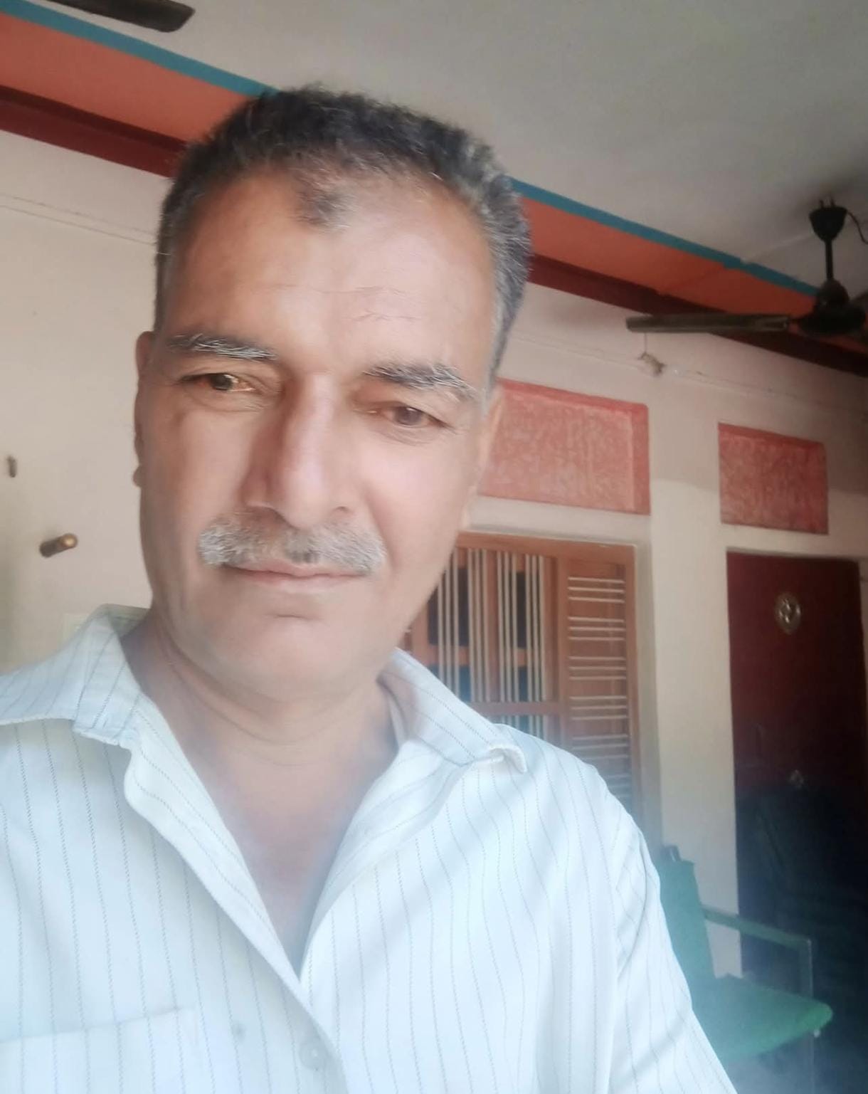 कलक्ट घाट को जाने वाले मार्ग पर फैले कूड़े में भोजन की तलाश करते मवेशी। संवाद
