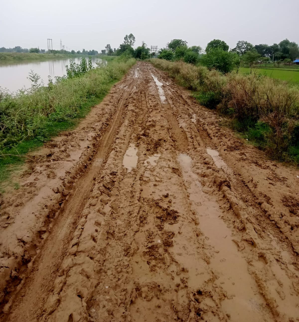 फोटो-10- अतर्रा तहसील में अभिभावकों के साथ प्रदर्शन करते छात्र। संवाद
