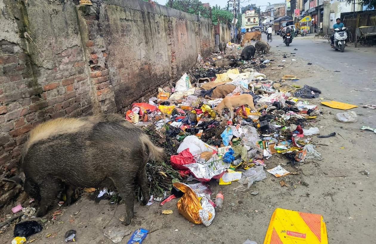 मजहर हुसैन, पार्षद मजहर हुसैन, पार्षद