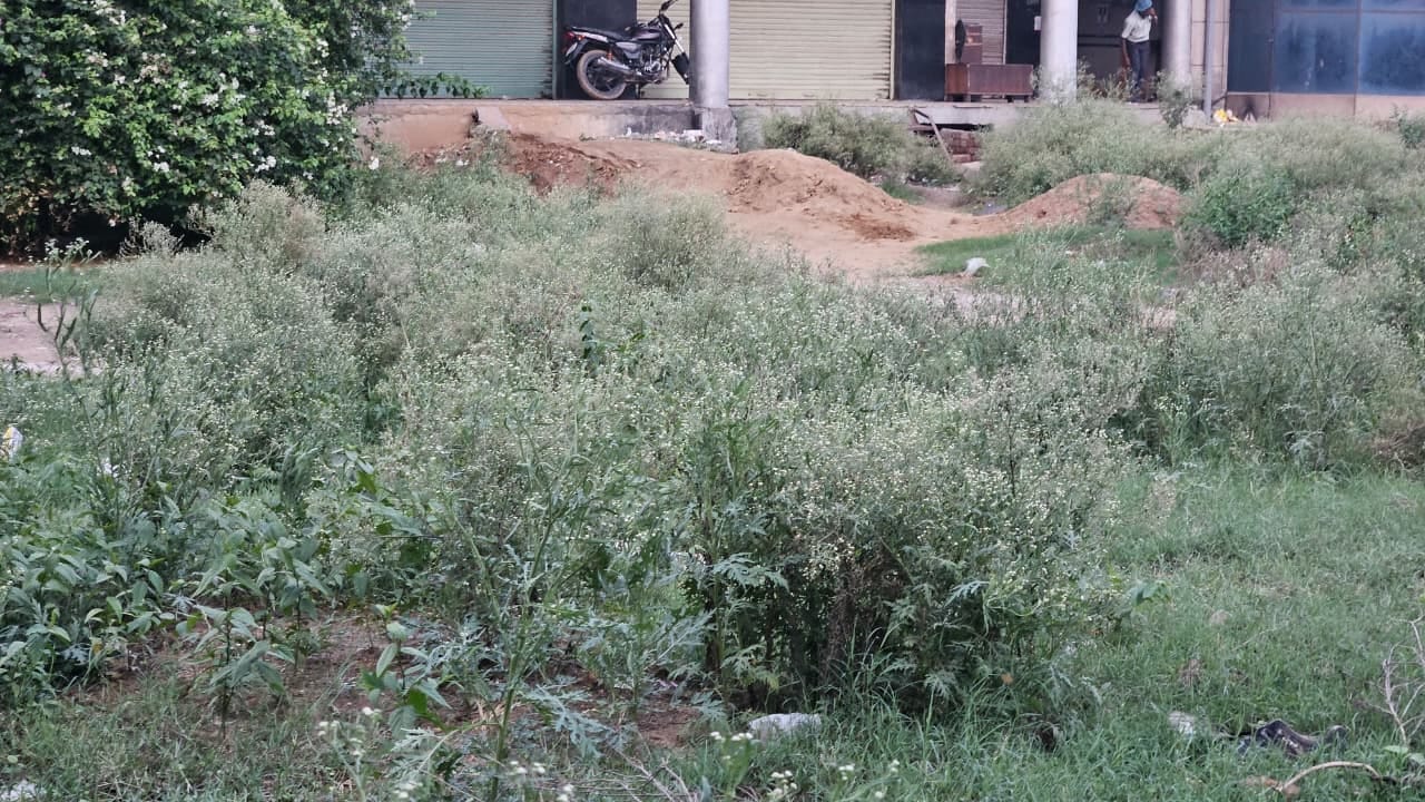 सुभाष भाटी