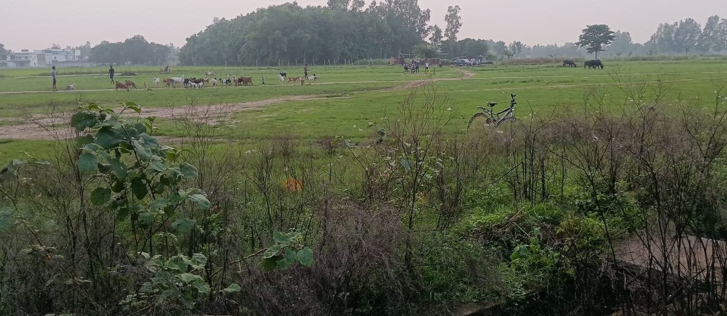 जिले में खेल और खिलाड़ियों का भविष्य संवारने वाले विद्यालयों के मैदान प्रशासनिक उपेक्षा, सरकारी