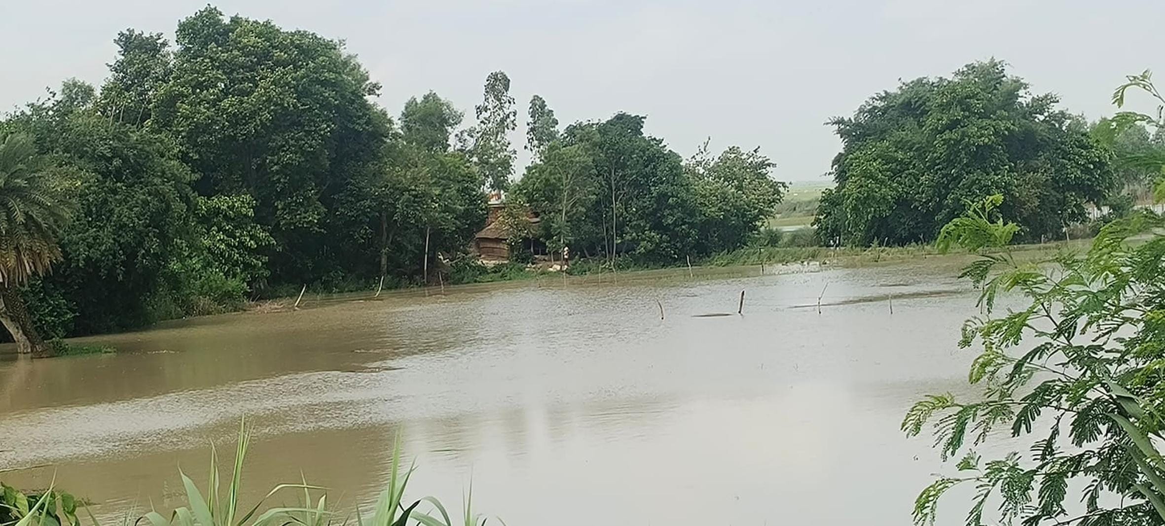 सरयू में बाढ़ से गांवों के पास भरा पानी। सरयू में बाढ़ से गांवों के पास भरा पानी।