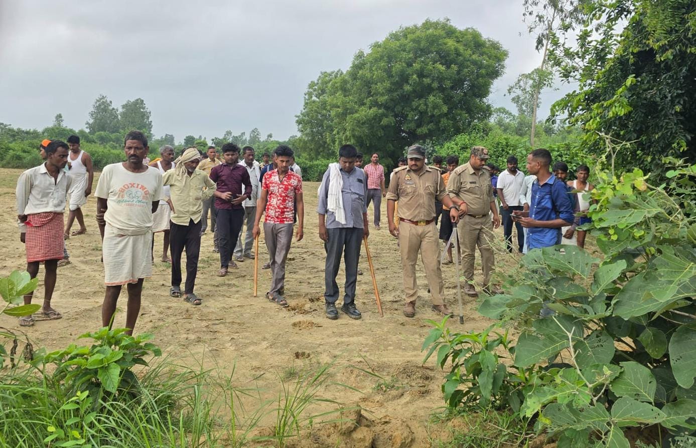 संदना क्षेत्र में कॉम्बिंग करती वन विभाग की टीम। खेत में मिले बाघिन के पगचिह्न व बनाया गया मच