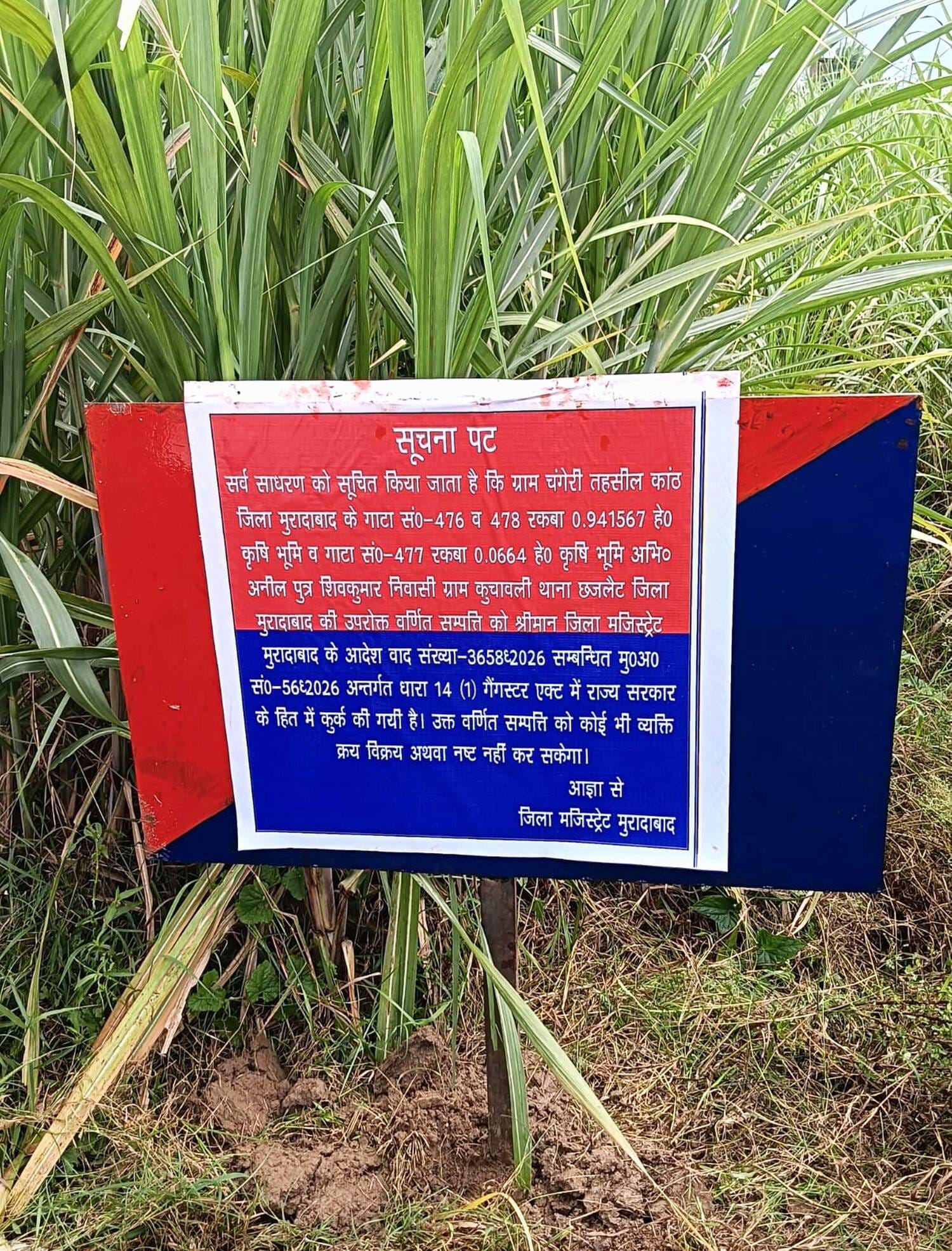 छजलैट के कुचावली में अपराधी की भूमि कुर्क कराने के दौरान एसपी ग्रामीण, एसडीएम और सीओ। स्रोत: प छजलैट के कुचावली में अपराधी की भूमि कुर्क कराने के दौरान एसपी ग्रामीण, एसडीएम और सीओ। स्रोत: प
