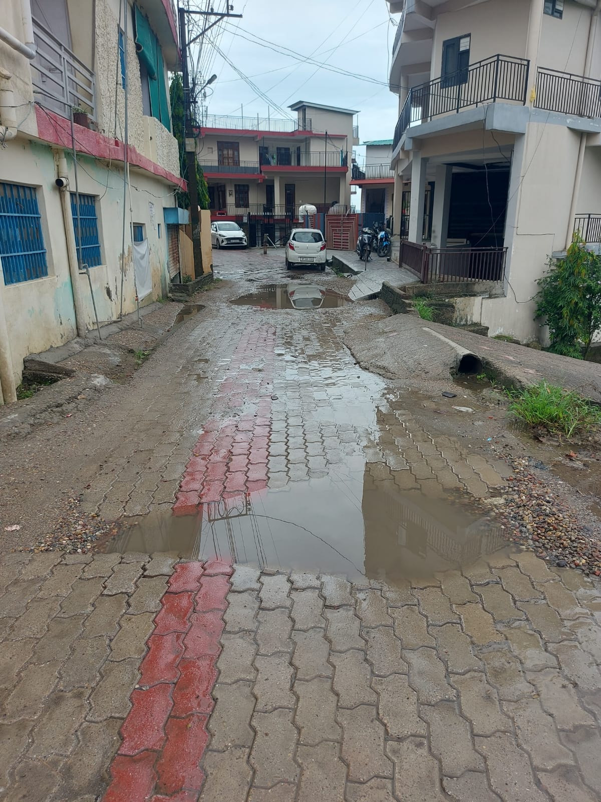 राजेश दुग्गल, निवासी वार्ड नंबर दस नगर निगम हमीरपुर।