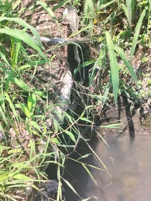 ऊना शहर में पुराना होशियारपुर मार्ग पर गंदी नाली से गुजरती पेयजल पाइपें।संवाद ऊना शहर में पुराना होशियारपुर मार्ग पर गंदी नाली से गुजरती पेयजल पाइपें।संवाद