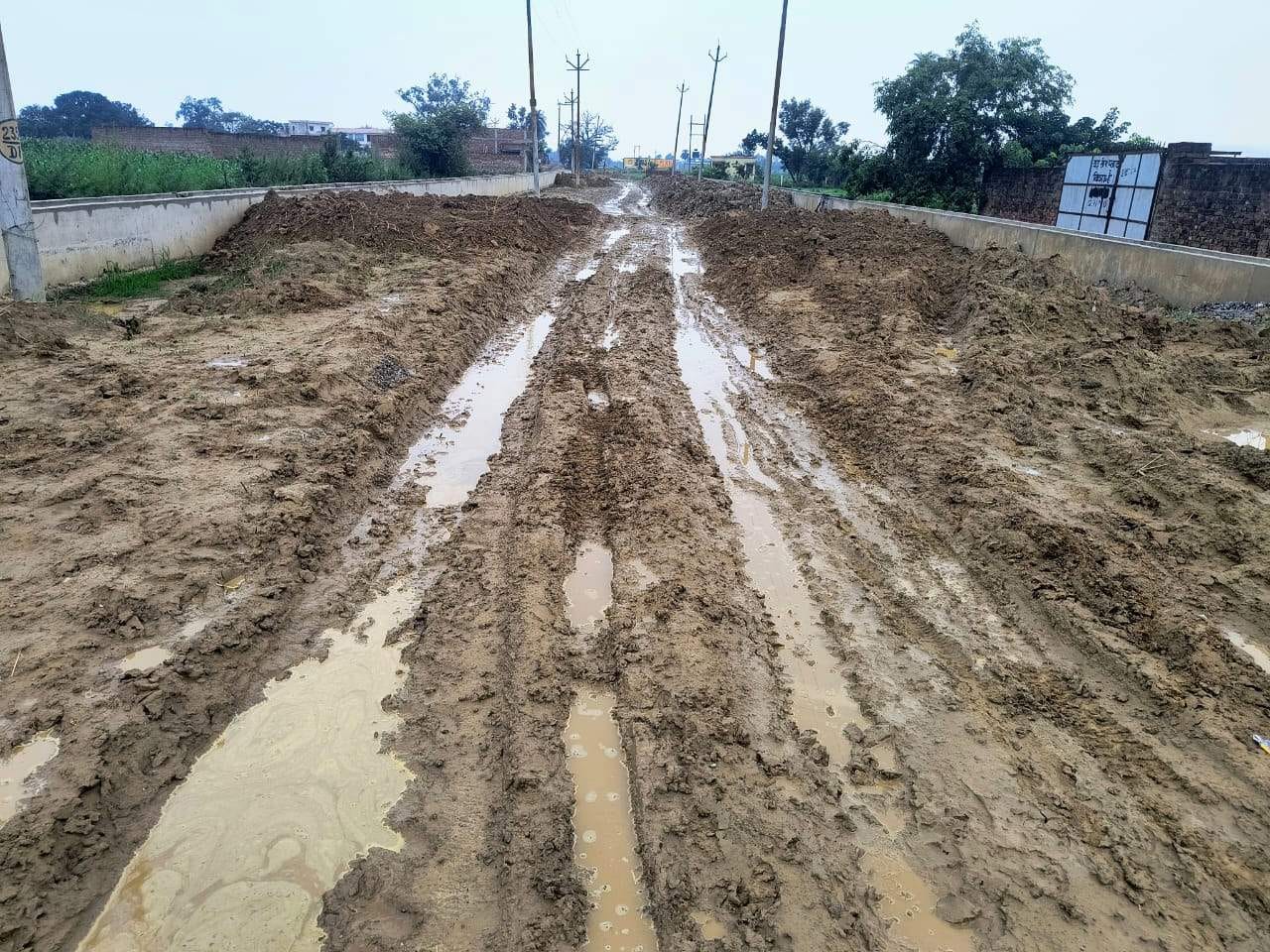 मघई टोला स्थित न्यू गोशाला में बारिश में खुले मैदान में खड़े गोवंशीय पशु। संवाद मघई टोला स्थित न्यू गोशाला में बारिश में खुले मैदान में खड़े गोवंशीय पशु। संवाद