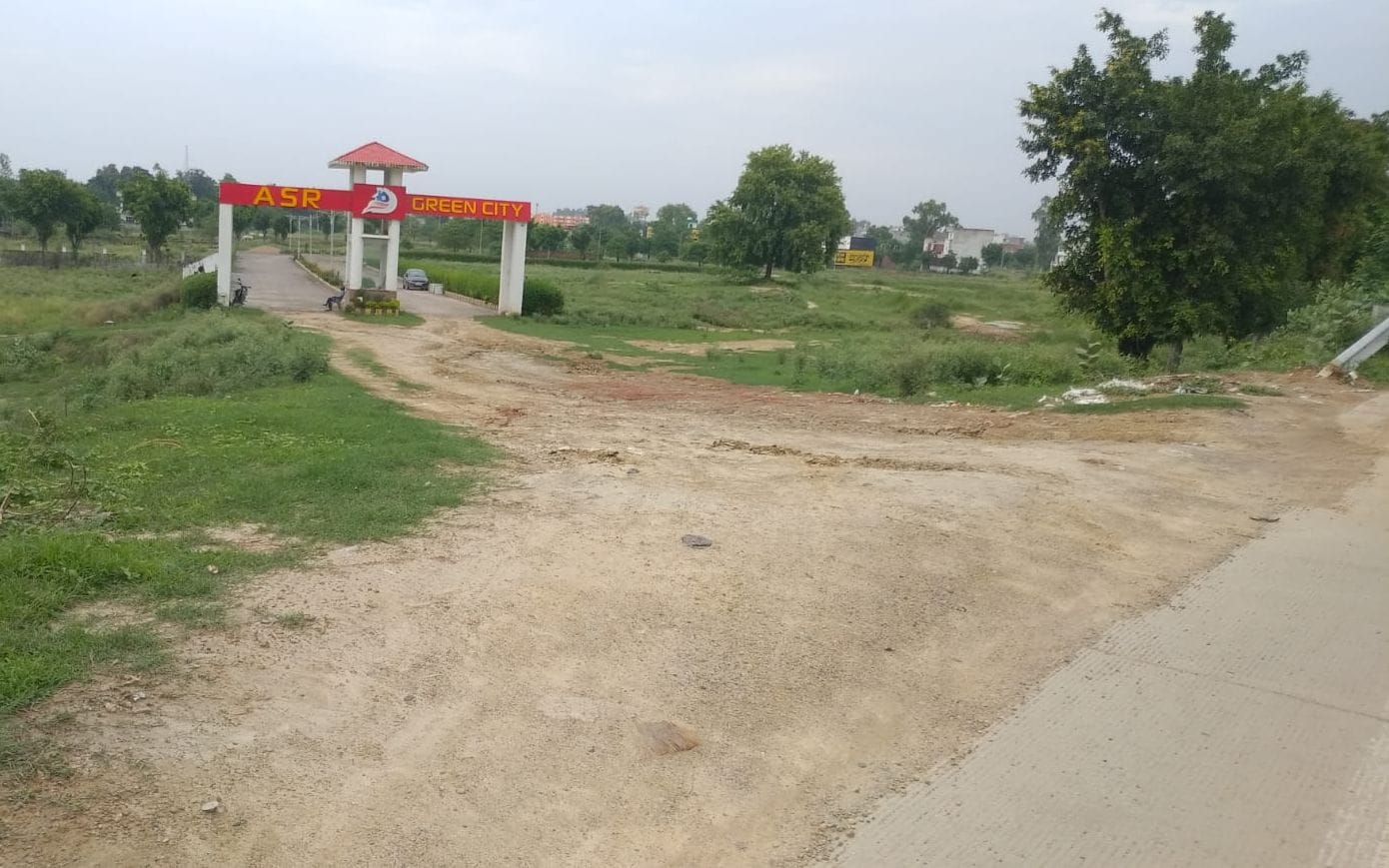 प्लाॅटिंग ही नहीं, हाईवे पर अवैध कट बना उजाड़ रहे हरियाली