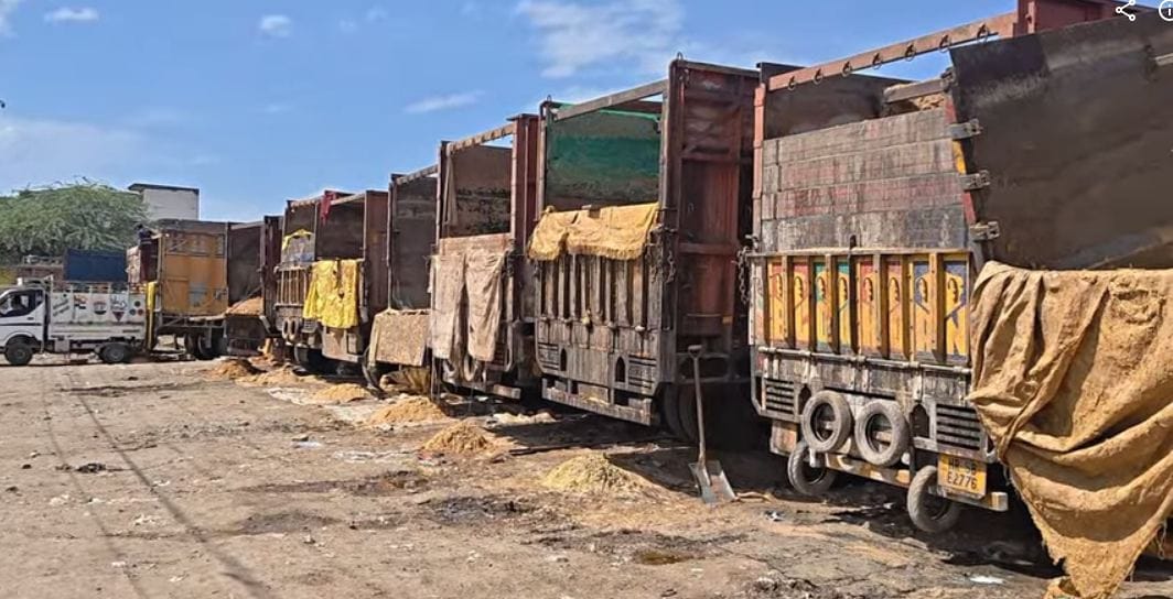 सरधना। दौराला रोड पर जौ के ट्रकों से हो रहा अतिक्रमण और गंदगी। संवाद सरधना। दौराला रोड पर जौ के ट्रकों से हो रहा अतिक्रमण और गंदगी। संवाद
