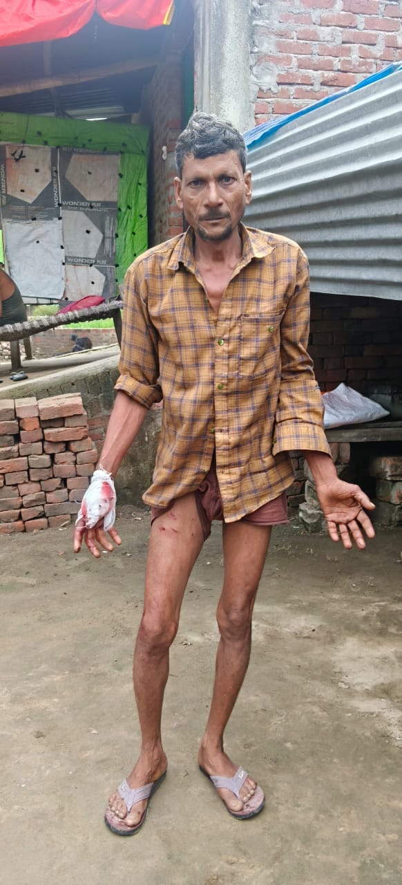 अजगर को रेस्क्यू करती वन विभाग की टीम। स्रोत वीडियो