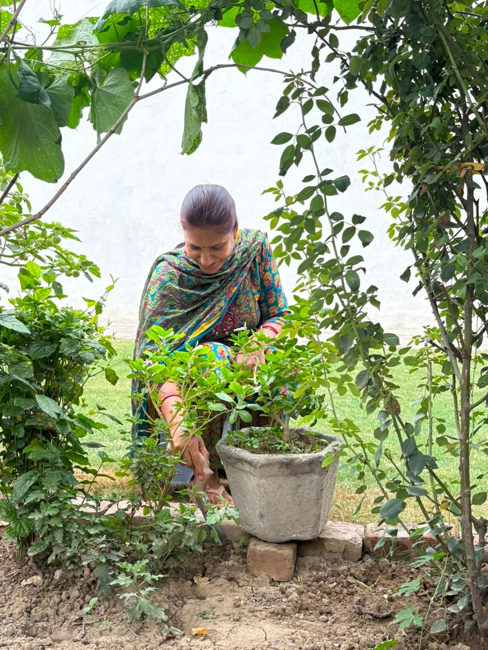 फोटो :: सोनीपत के गोहाना स्थित लक्ष्मी नगर में घर के आंगन में लगाई बगिया के पौधे में पानी देती