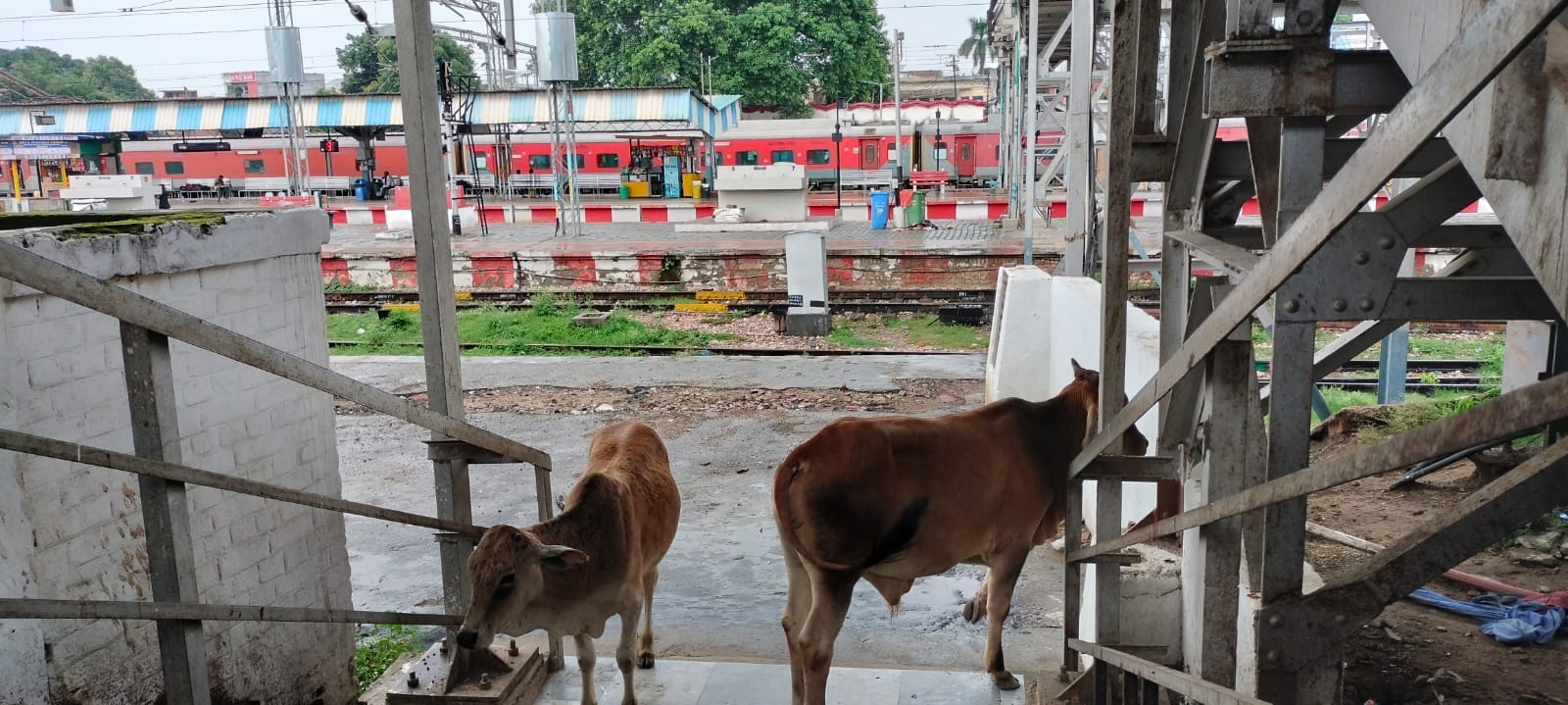 रेलवे स्टेशन पर टूटा पड़ा एनाउंस सिस्टम। संवाद रेलवे स्टेशन पर टूटा पड़ा एनाउंस सिस्टम। संवाद