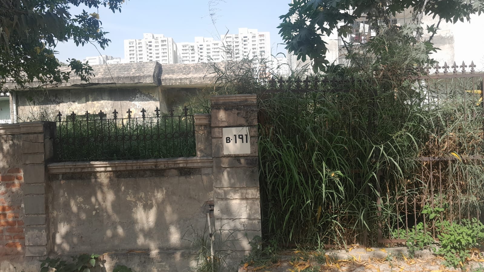 सेक्टर 108 में खाली पड़े प्लॉट में उगी जंगली घास : निवासी सेक्टर 108 में खाली पड़े प्लॉट में उगी जंगली घास : निवासी