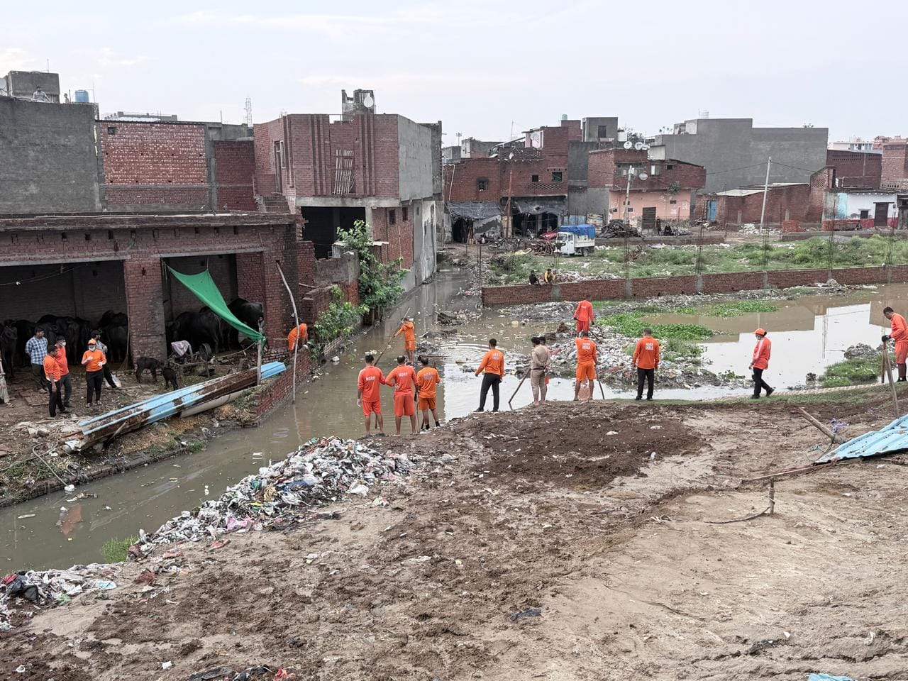 नाले में गिरी बच्ची की जानकारी लेने के दौरान डीएम-एसएसपी के आगे बिलखती दादी। संवाद