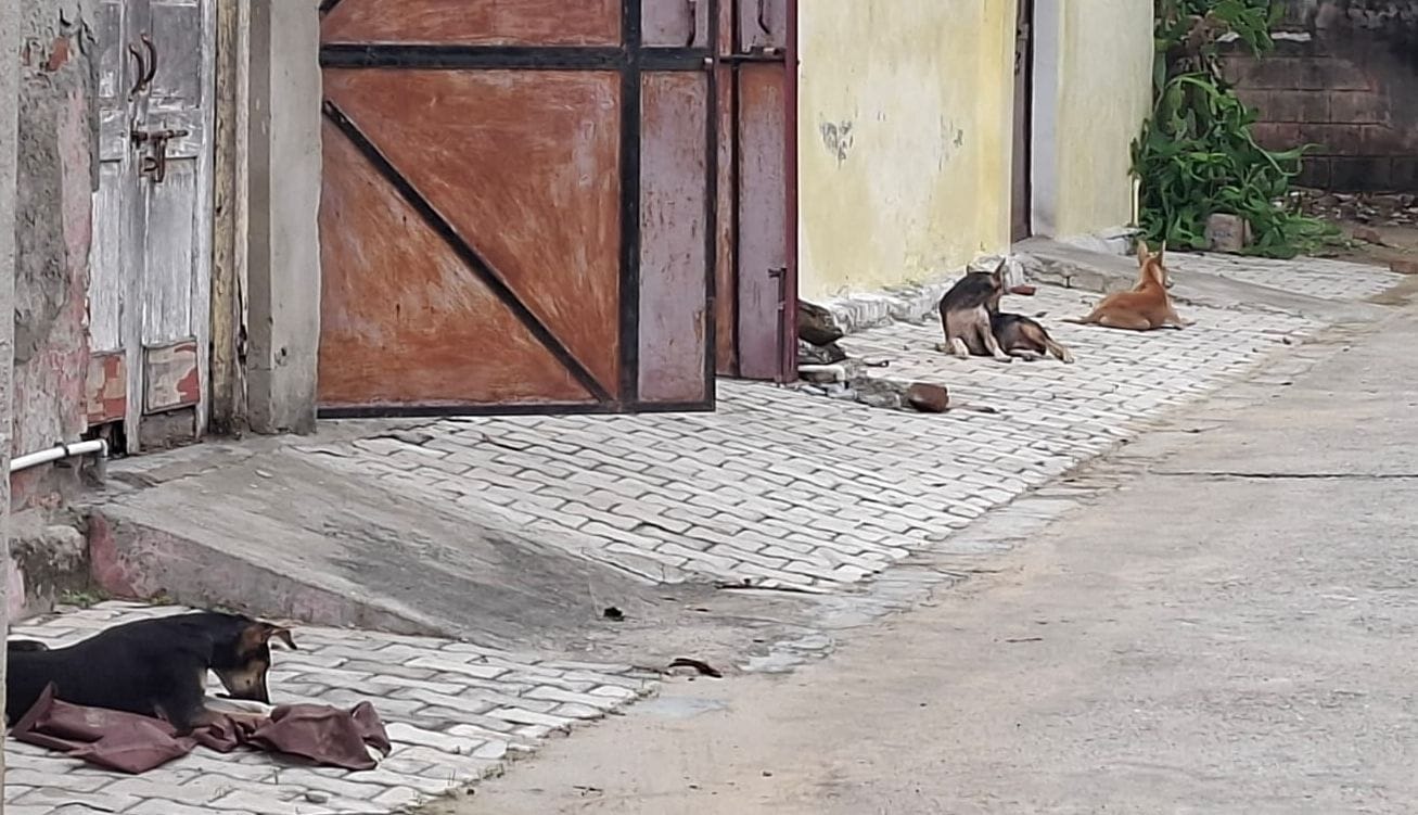 मृतक अंश