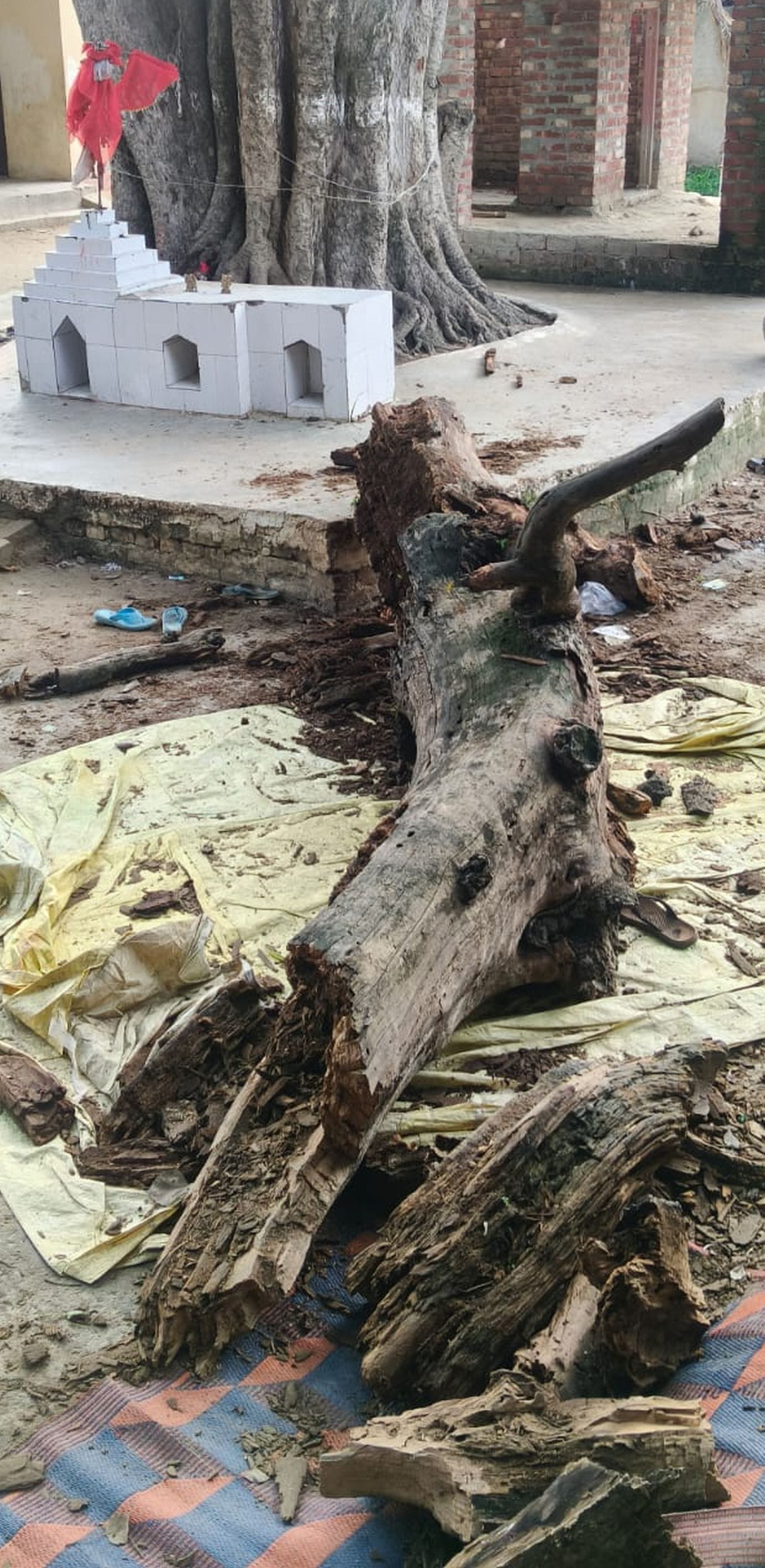 मंदिर परिसर में हवन करा रहे थे। पंडित मुनेद्र पाठक मंदिर परिसर में हवन करा रहे थे। पंडित मुनेद्र पाठक