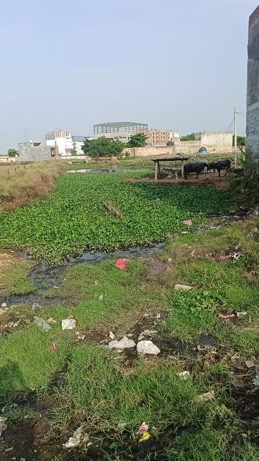 उपेन्द्र खारी