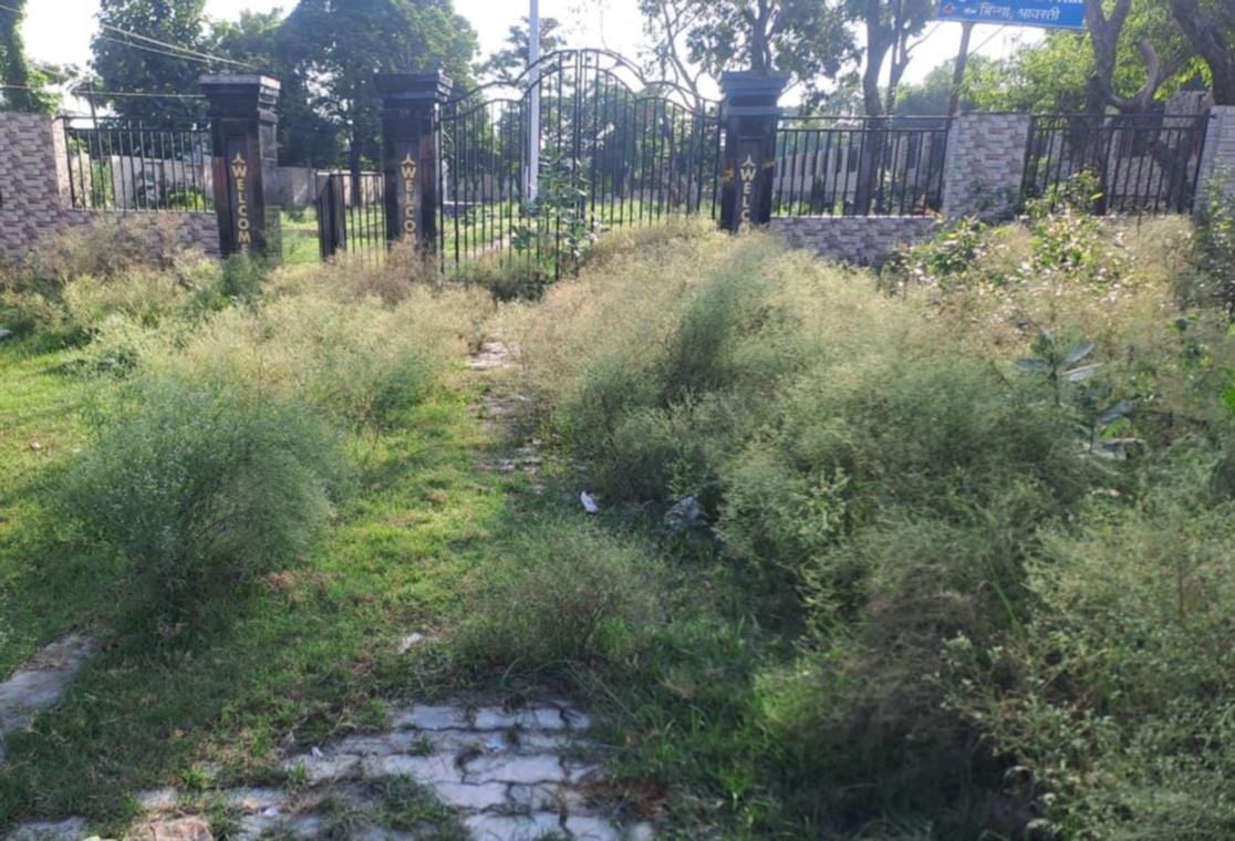 अंबेडकर पार्क में झाड़ियों से ढंका रास्ता। अंबेडकर पार्क में झाड़ियों से ढंका रास्ता।