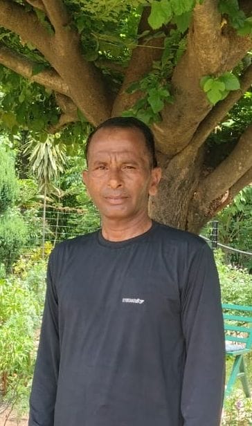 भूड़ गांव में जेबीटी शिक्षक दलबीर सिंह द्वारा लगाया अमरूद का बगीचा। संवाद भूड़ गांव में जेबीटी शिक्षक दलबीर सिंह द्वारा लगाया अमरूद का बगीचा। संवाद