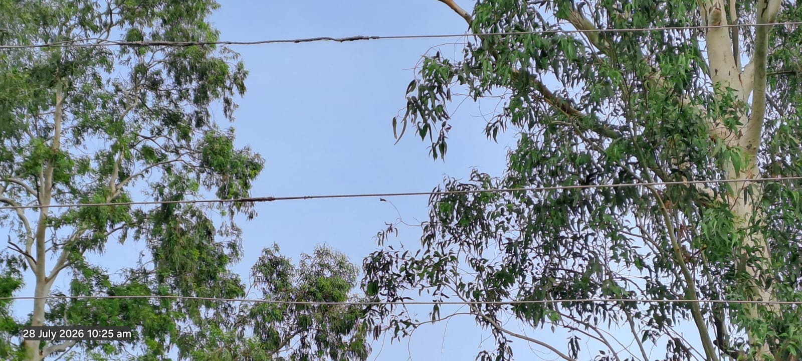फोटो- 10 आटा अस्पताल के पास से निकली जर्जर एचटी लाइन। संवाद फोटो- 10 आटा अस्पताल के पास से निकली जर्जर एचटी लाइन। संवाद