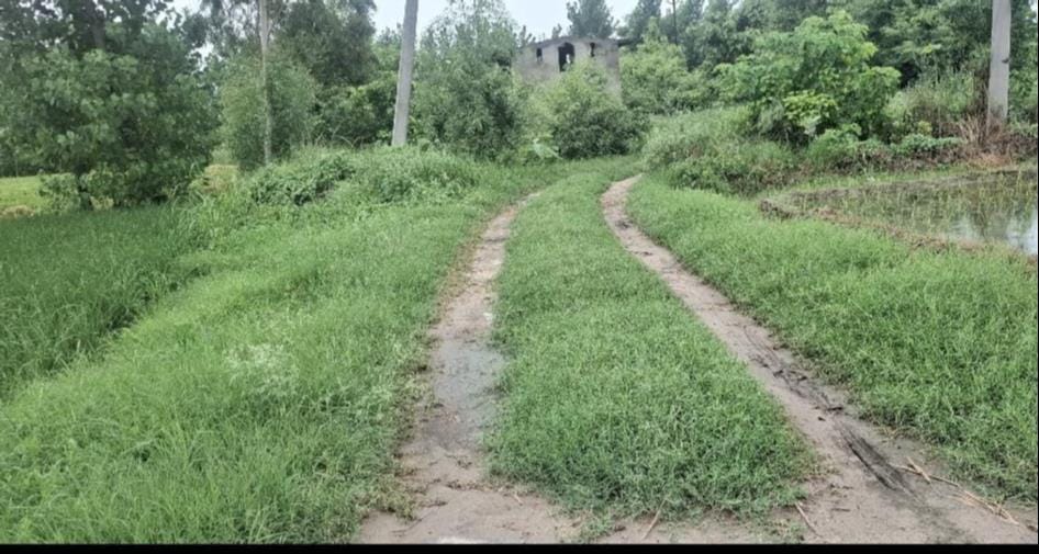 एक्सक्लूसिव...ई स्वराज पोर्टल पर दर्ज अहमदगढ़ में विकास कार्य के नाम प्रधान पुत्र के नाम जारी क एक्सक्लूसिव...ई स्वराज पोर्टल पर दर्ज अहमदगढ़ में विकास कार्य के नाम प्रधान पुत्र के नाम जारी क