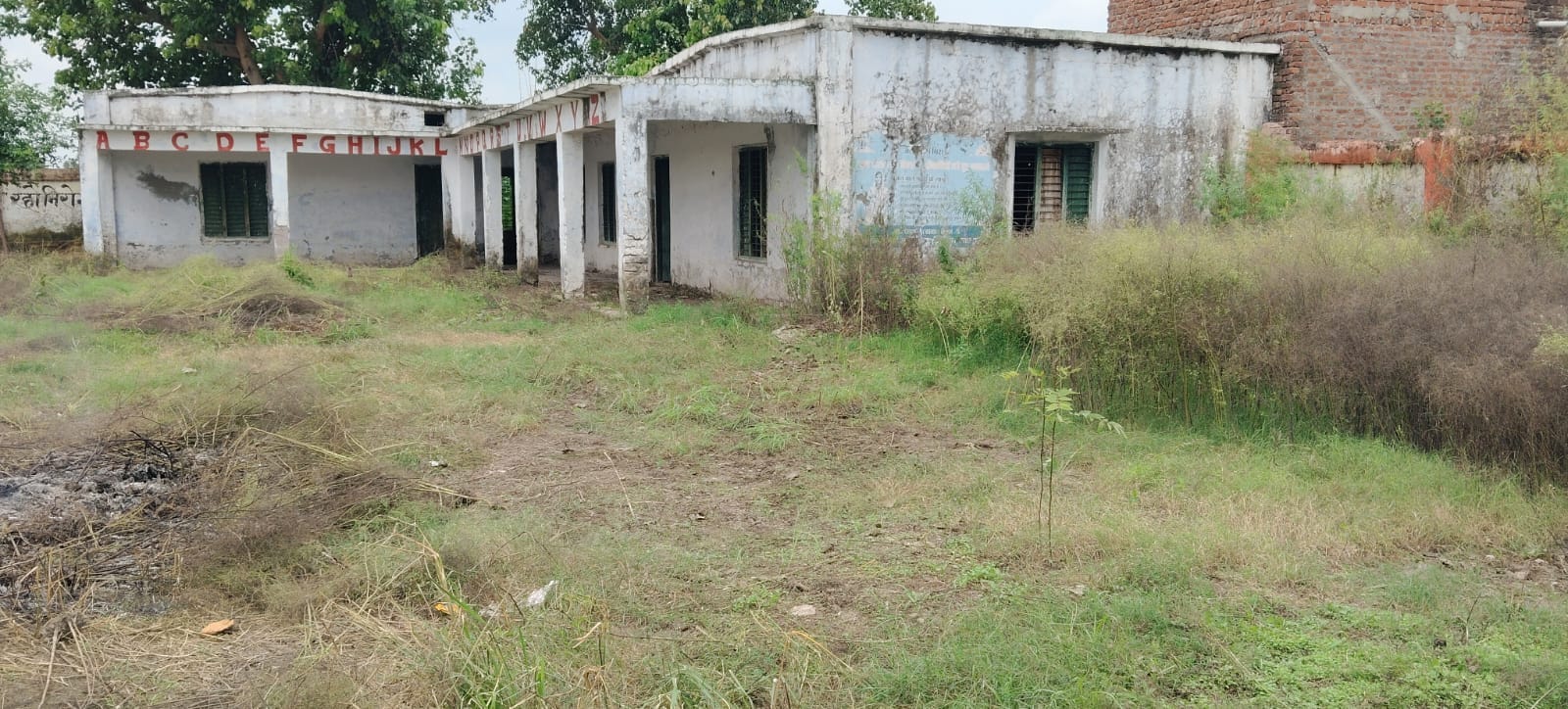 फोटो-10 प्राथमिक विद्यालय बांसखेड़ा में परिसर में खड़ी घास। संवाद फोटो-10 प्राथमिक विद्यालय बांसखेड़ा में परिसर में खड़ी घास। संवाद