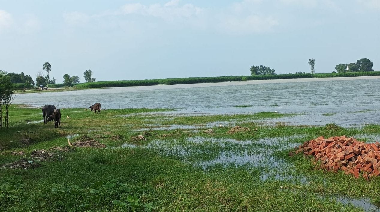 फोटो 27 - कछला गंगा घाट पर बढ़ा जलस्तर। स्रोत : संवाद