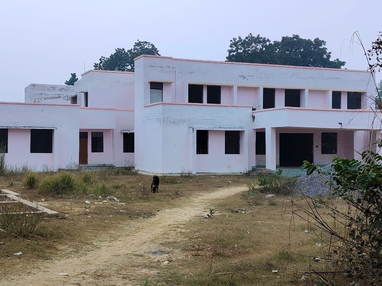 पुनीत सिंह।