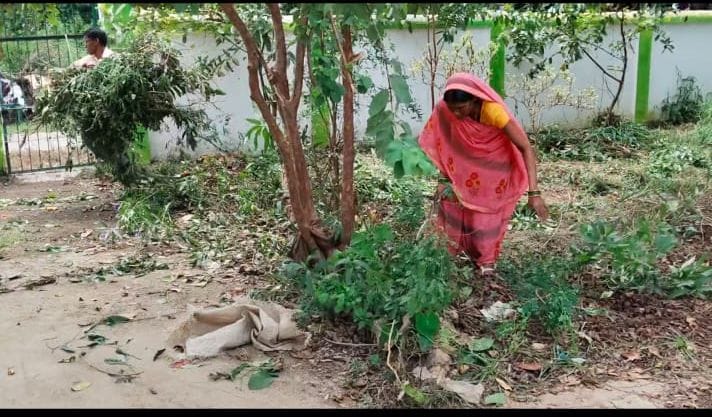 स्कूलों में झाड़ियां और कबाड़, सांप देख स्कूल का कमरा बंद स्कूलों में झाड़ियां और कबाड़, सांप देख स्कूल का कमरा बंद