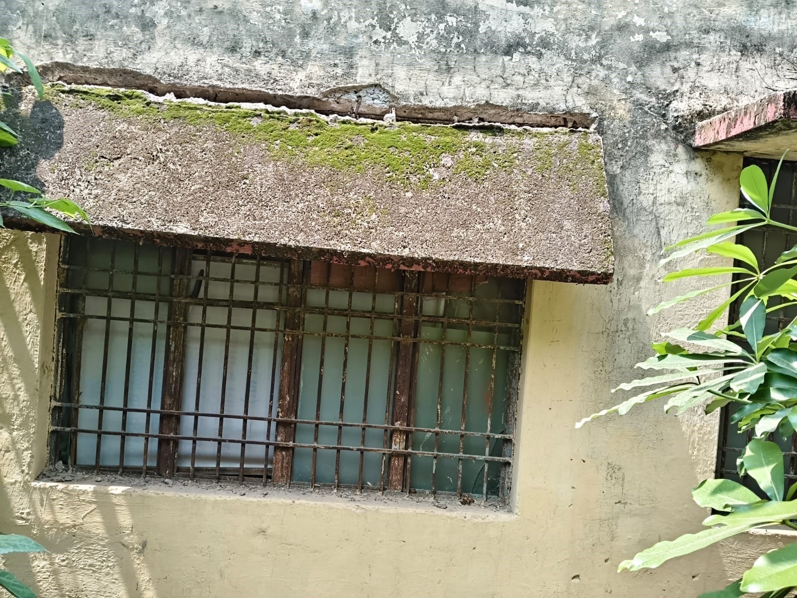 फोटो 3-खंडहर में तब्दील हुआ खप्टिहा कला का पशु अस्पताल। संवाद फोटो 3-खंडहर में तब्दील हुआ खप्टिहा कला का पशु अस्पताल। संवाद