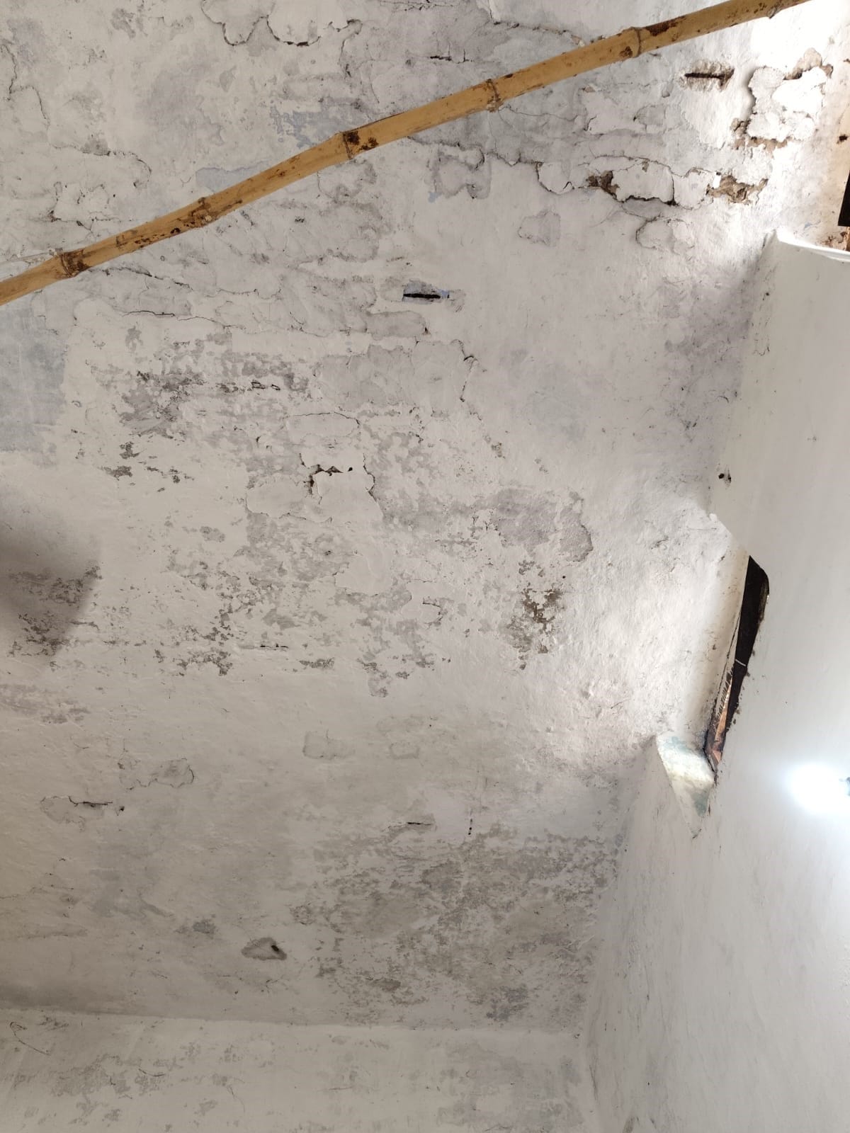 फोटो 3-खंडहर में तब्दील हुआ खप्टिहा कला का पशु अस्पताल। संवाद फोटो 3-खंडहर में तब्दील हुआ खप्टिहा कला का पशु अस्पताल। संवाद
