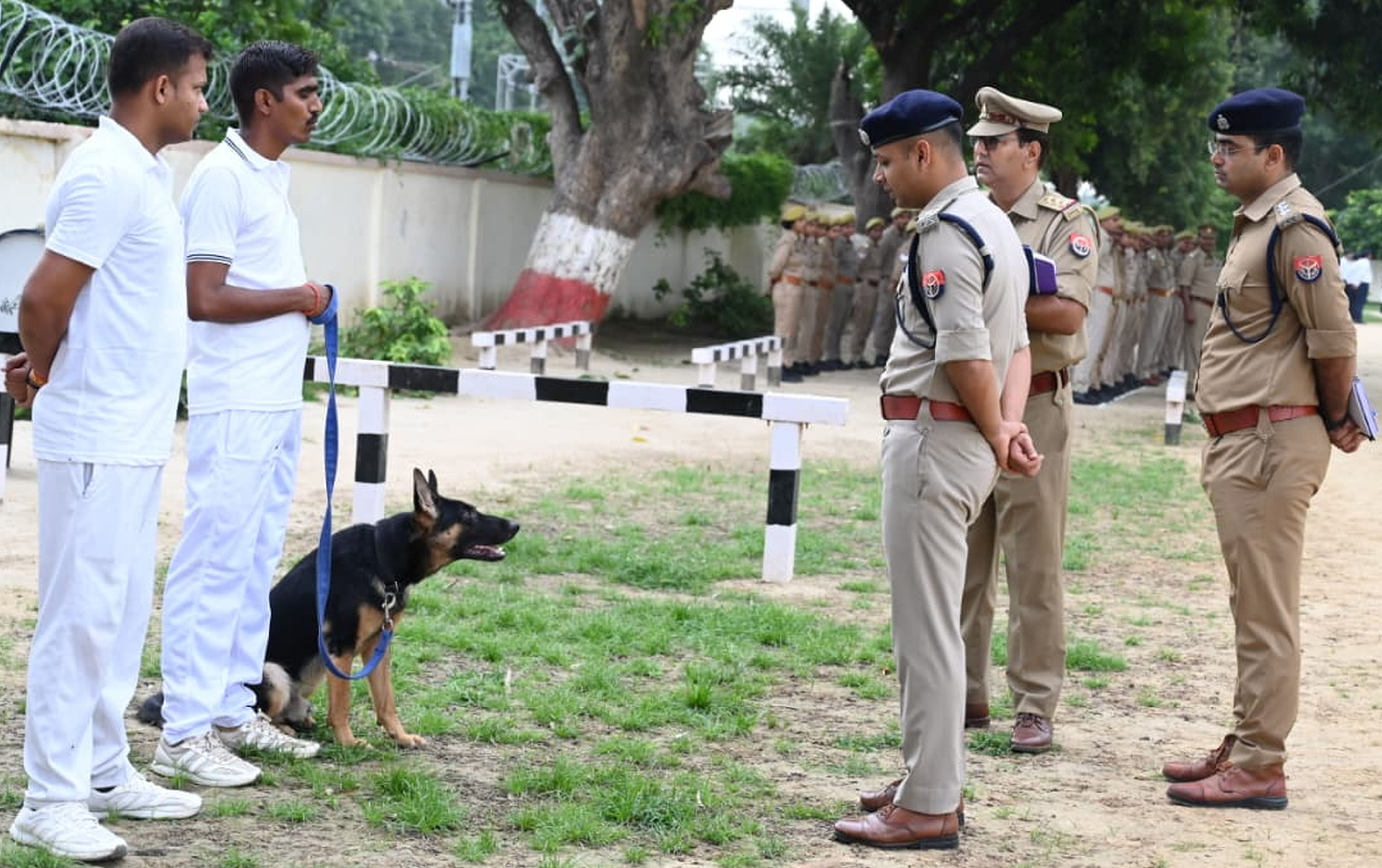 फोटो-31-पुलिस लाइन में नए ट्रैकर डॉग सूर्या की क्षमता का निरीक्षण करते एसपी अभिमन्यु मांगलिक। स