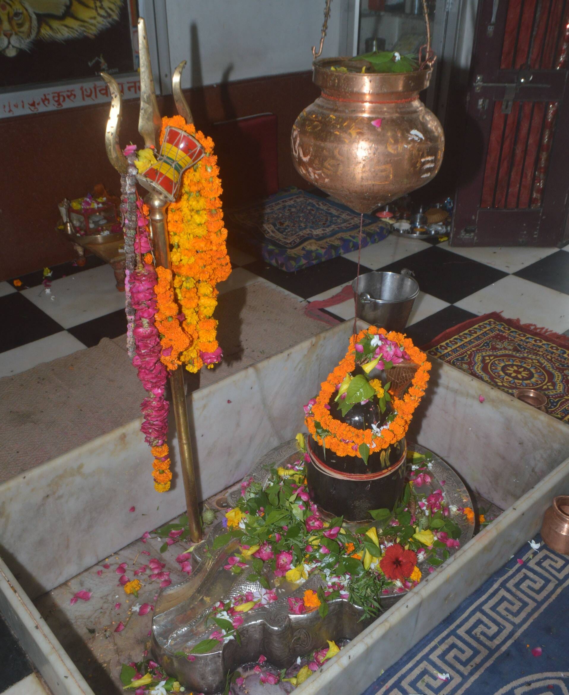 फोटो 18: सूर्य कमल गोस्वामी। स्रोत : स्वयं फोटो 18: सूर्य कमल गोस्वामी। स्रोत : स्वयं