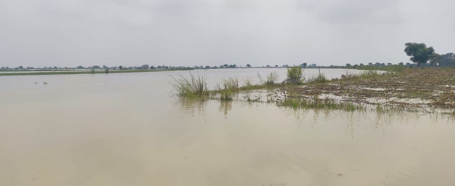 फोटो 32- कादरगंज के पश्चिमी क्षेत्र में गंगा की बाढ़ का पानी। स्रोत संवाद फोटो 32- कादरगंज के पश्चिमी क्षेत्र में गंगा की बाढ़ का पानी। स्रोत संवाद
