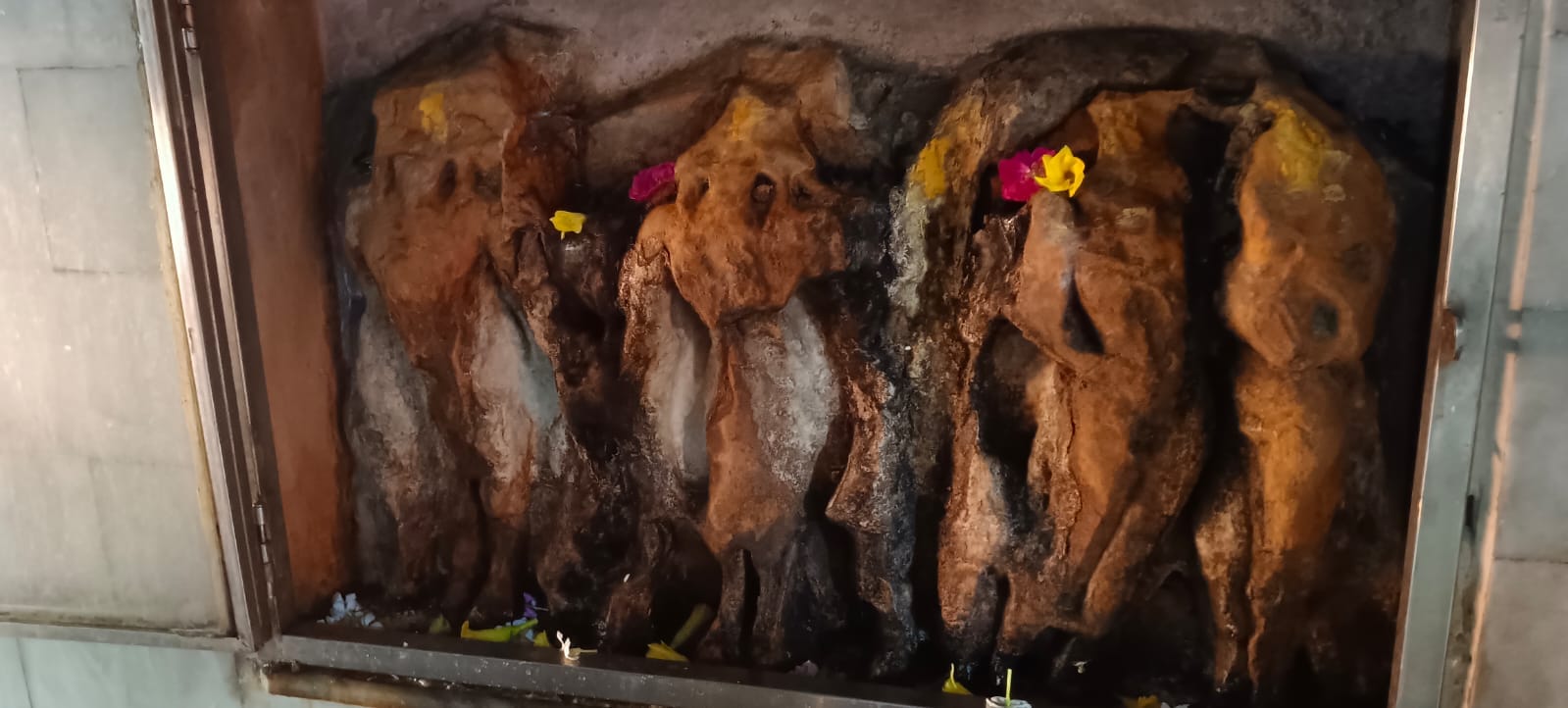 हस्तिनापुर में मौजूद प्राचीन पांडेश्वर महादेव मंदिर स्रोत संवाद