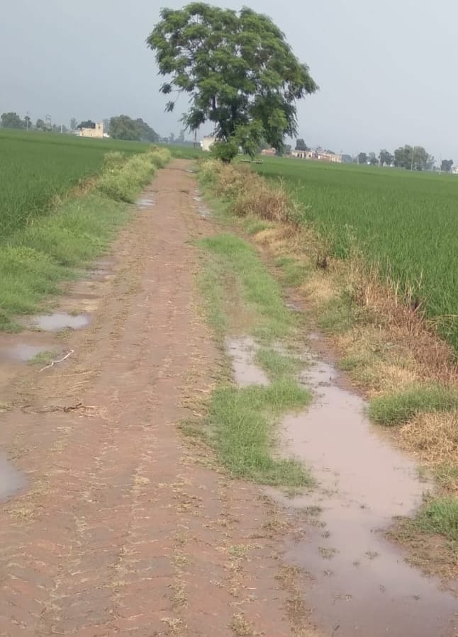 कच्ची ईंटों से बनी पगडंडी। संवाद कच्ची ईंटों से बनी पगडंडी। संवाद