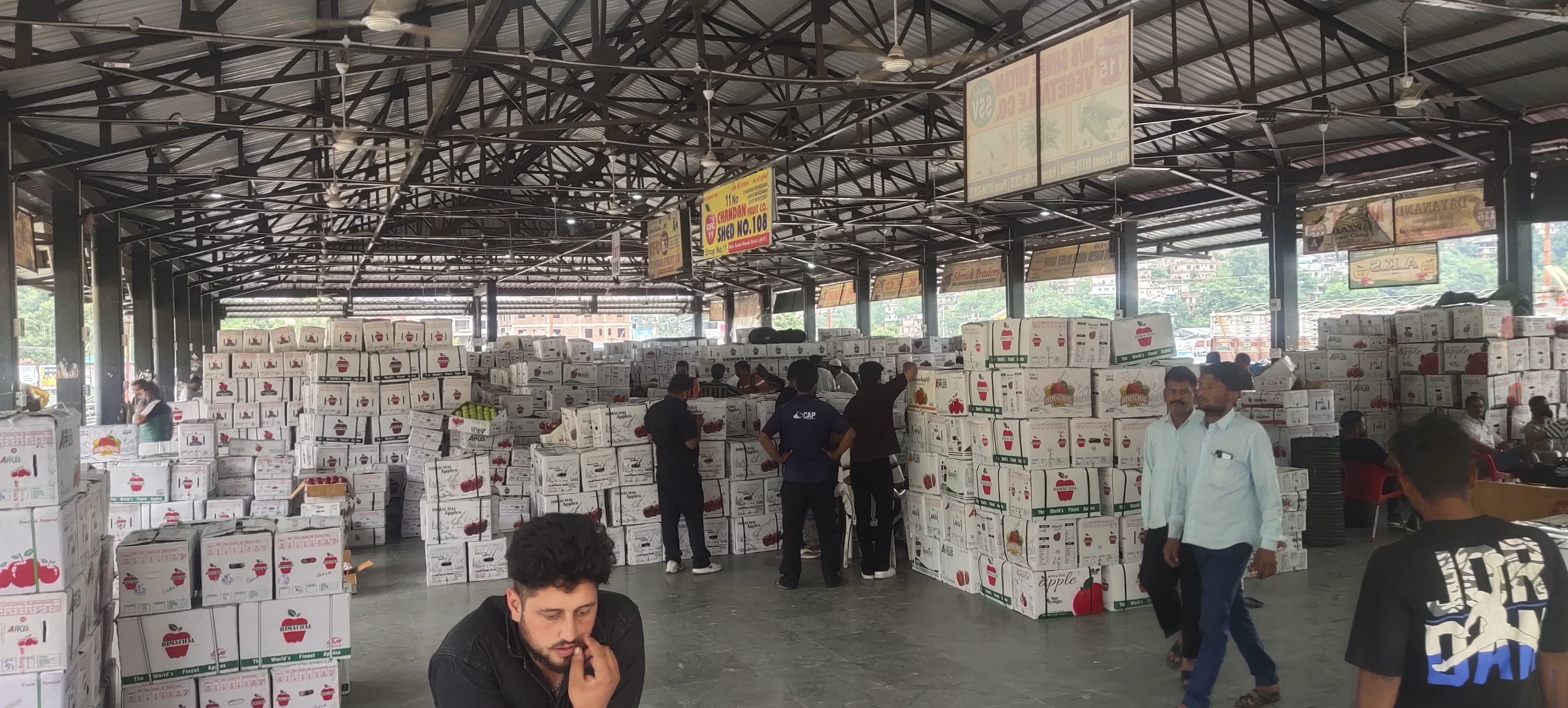 सेब मंडी में बाहरी राज्यों के लिए सेब की लोडिंग करते हुए। संवाद