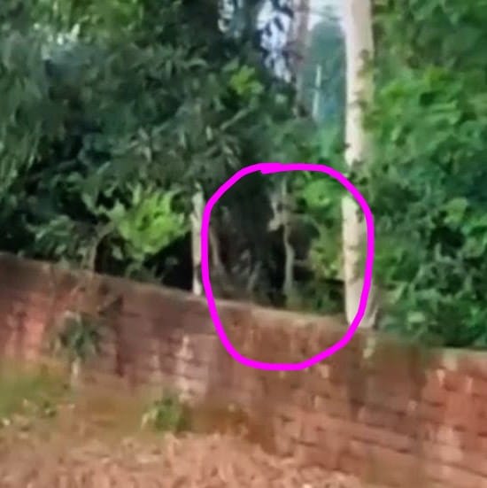 तेंदुआ दिखाई देने के बाद लाठी डंडों से लैस होकर पहुंचे ग्रामीण शिविर पर। (स्त्रोत ग्रामीण) मवान तेंदुआ दिखाई देने के बाद लाठी डंडों से लैस होकर पहुंचे ग्रामीण शिविर पर। (स्त्रोत ग्रामीण) मवान