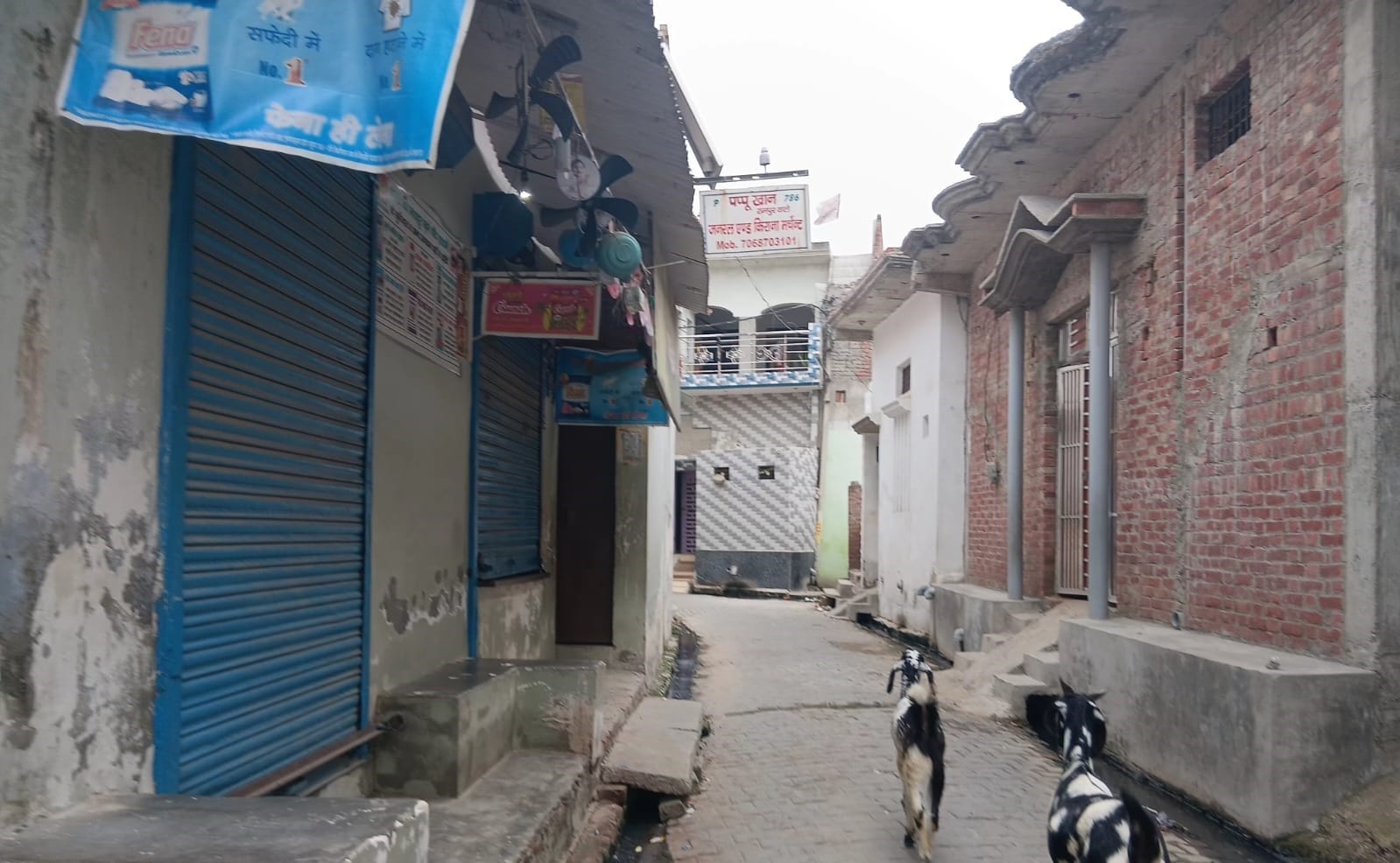 गौतम मौर्य का फाइल फोटो। स्रोत: परिजन गौतम मौर्य का फाइल फोटो। स्रोत: परिजन