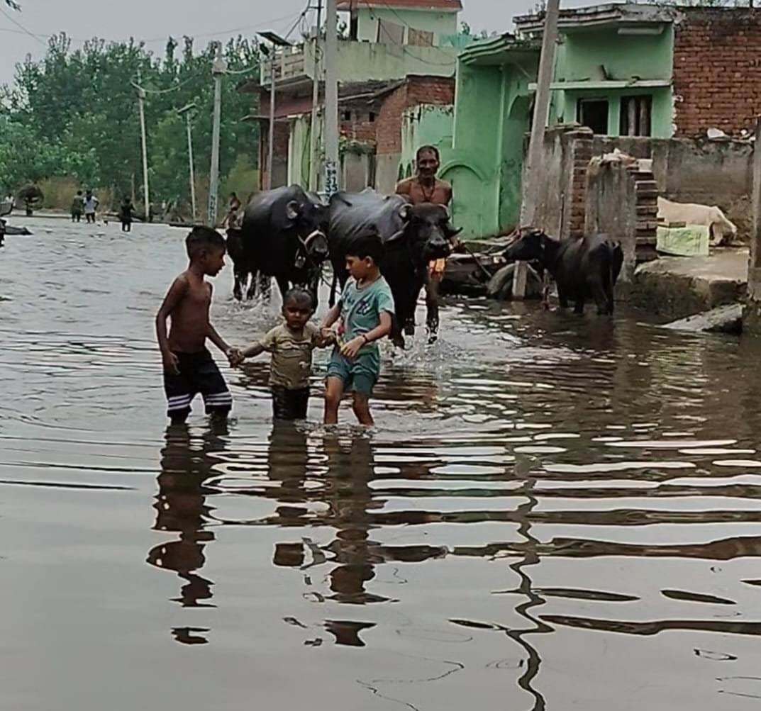 जलीलपुर क्षेत्र में गंगा खादर क्षेत्र में गंगा पानी में निकलते ग्रामीण स्रोत ग्रामीण जलीलपुर क्षेत्र में गंगा खादर क्षेत्र में गंगा पानी में निकलते ग्रामीण स्रोत ग्रामीण