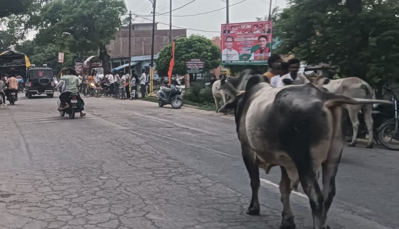कछला से जल लेकर आ रहे कांवडियां सरंक्षित गौवंश की टक्कर से घायल। संवाद
